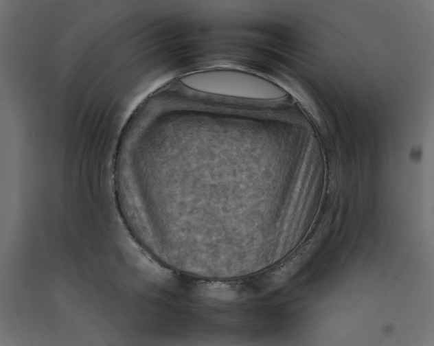 X0000092260806200710121338