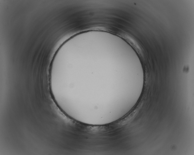 X0000092260808200710121338