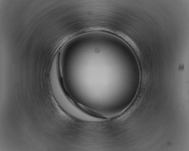 X0000092260809200710121338