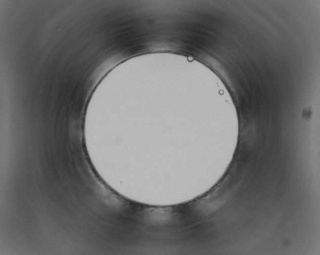 X0000092260810200710121338