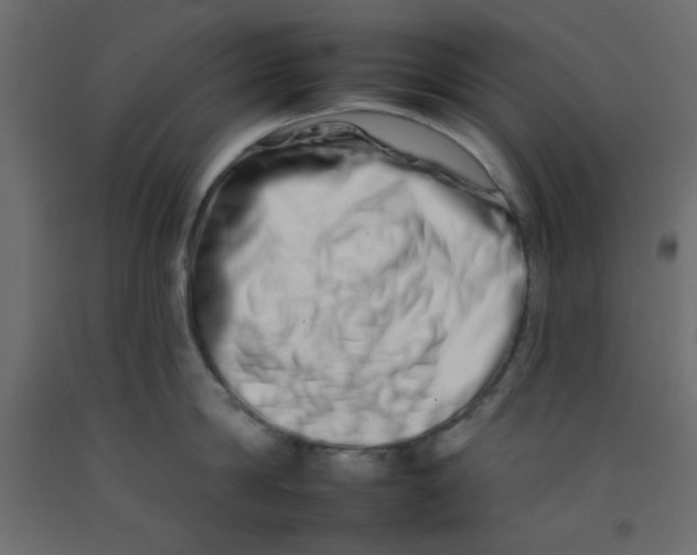 X0000092260814200710121338