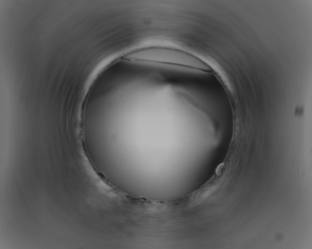 X0000092260815200710121338