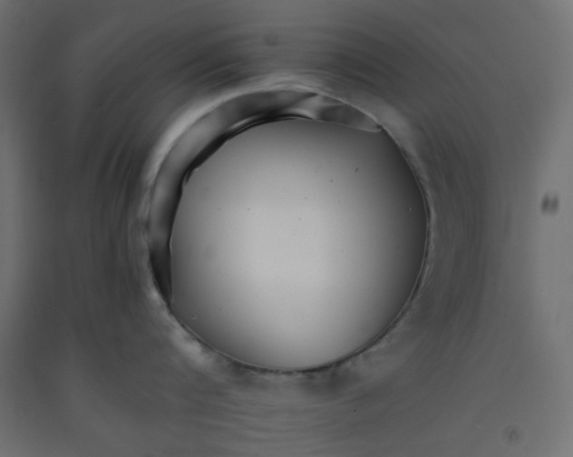 X0000092260816200710121338