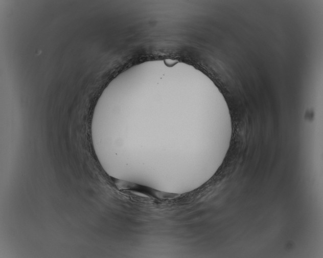 X0000092260817200710121337