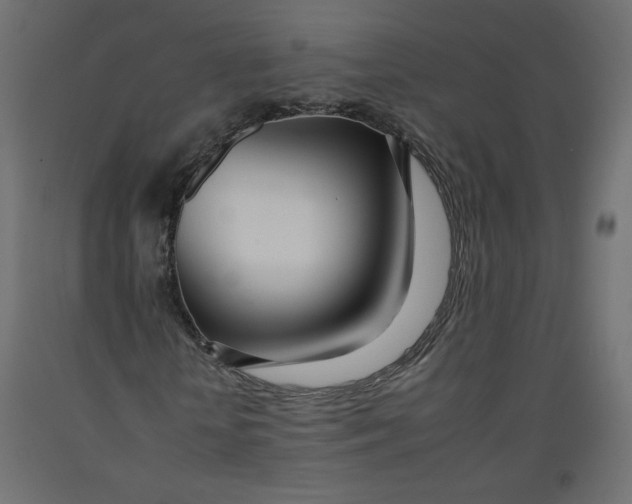 X0000092260818200710121337