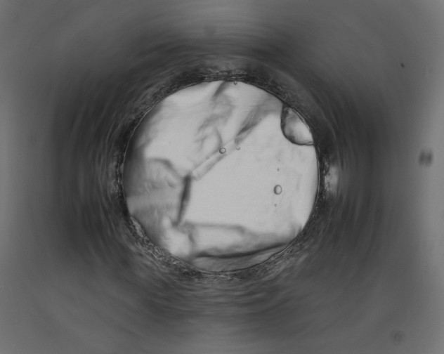 X0000092260819200710121337