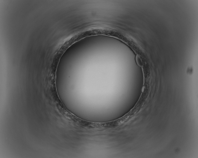 X0000092260822200710121337