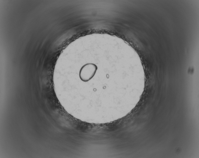 X0000092260824200710121337