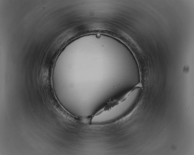 X0000092260825200710121337