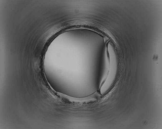 X0000092260826200710121337