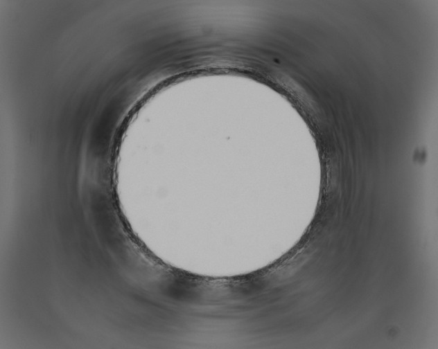 X0000092260828200710121337