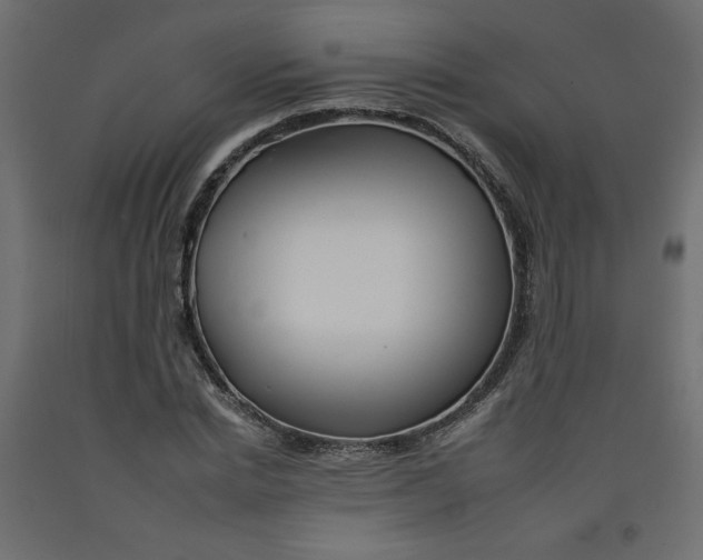 X0000092260830200710121337