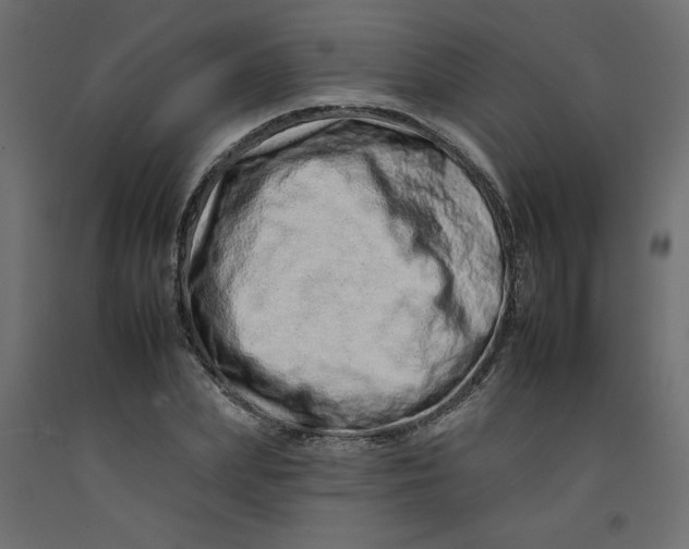 X0000092260831200710121337