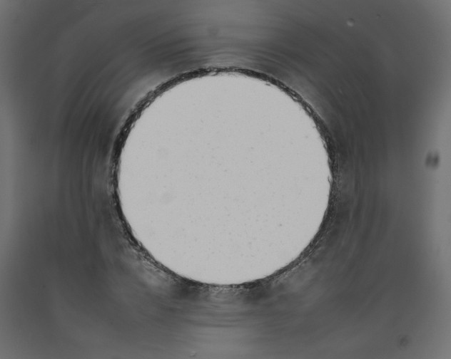 X0000092260832200710121337