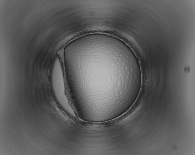 X0000092260833200710121337