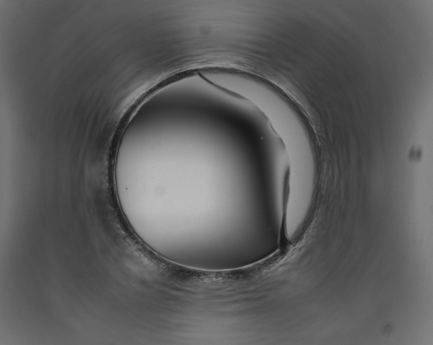 X0000092260834200710121337