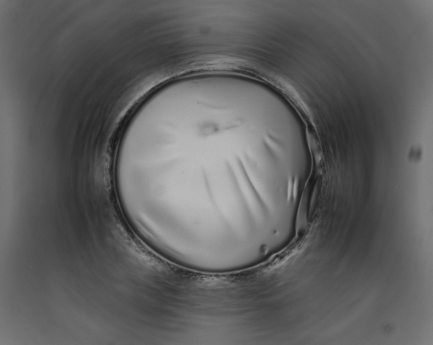 X0000092260835200710121337