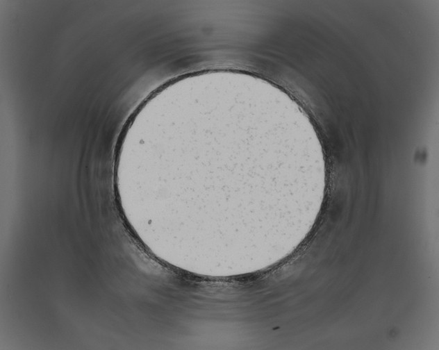 X0000092260836200710121337