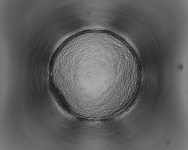 X0000092260837200710121337