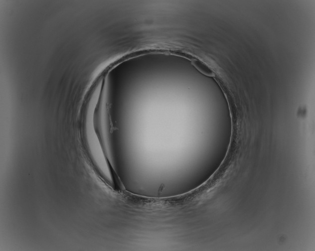 X0000092260838200710121337