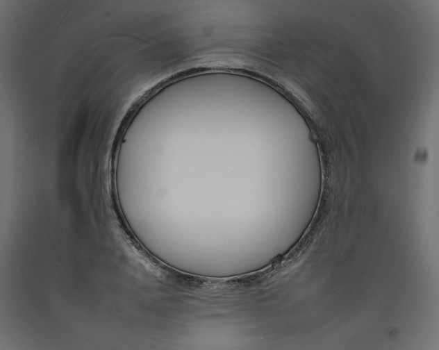 X0000092260840200710121337