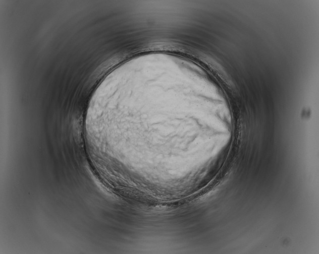 X0000092260841200710121337