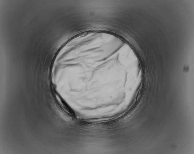 X0000092260842200710121337