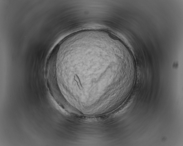 X0000092260843200710121337