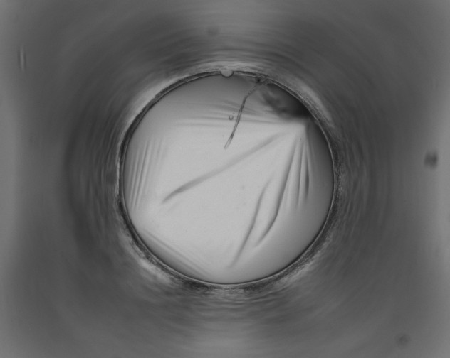 X0000092260844200710121337