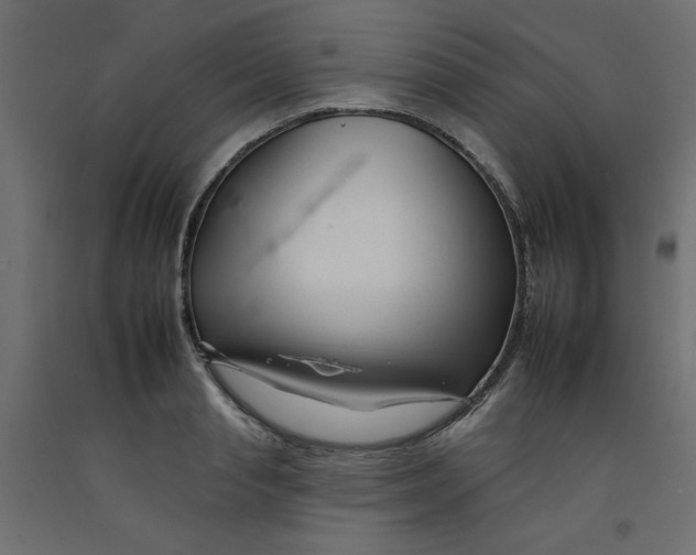 X0000092260845200710121337