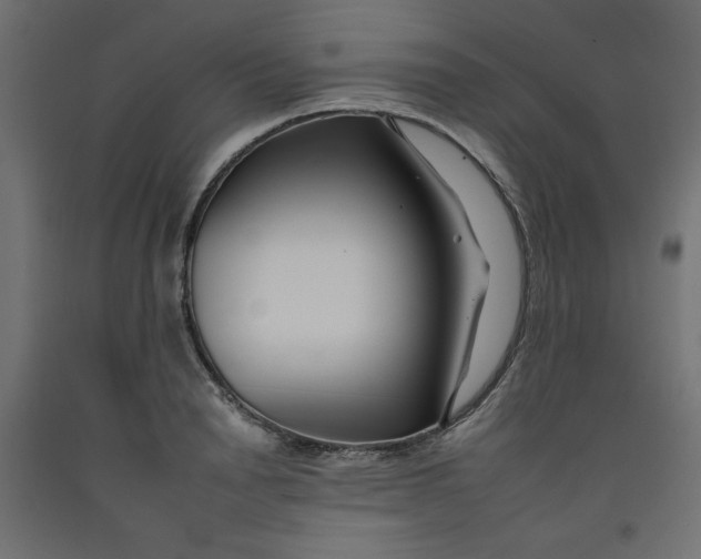 X0000092260846200710121337