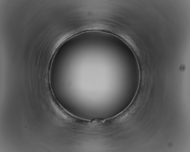 X0000092260850200710121338