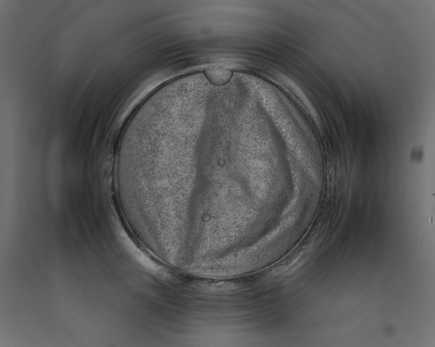 X0000092260851200710121338