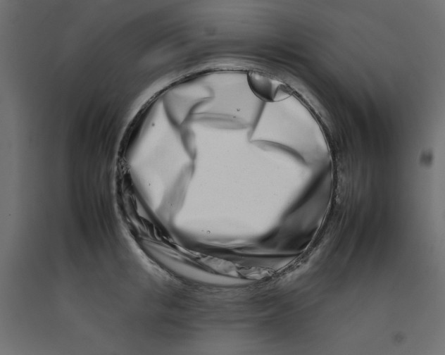 X0000092260853200710121338