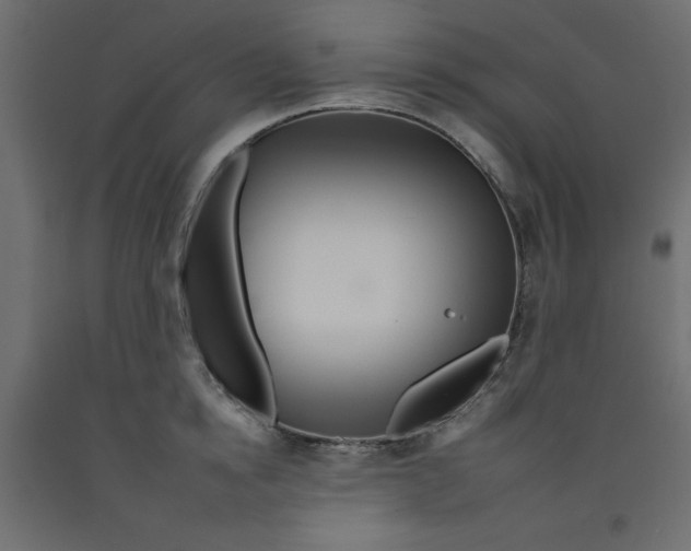 X0000092260854200710121338