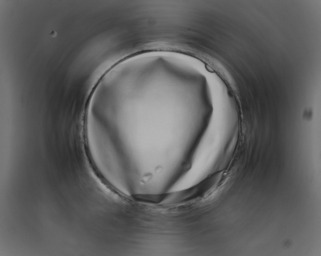 X0000092260855200710121338