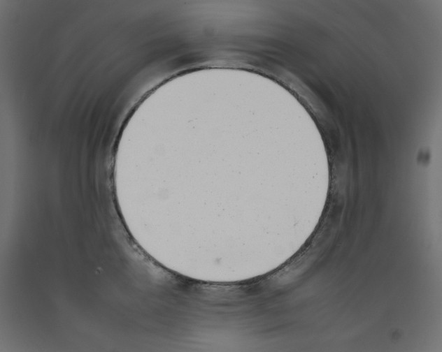 X0000092260856200710121338