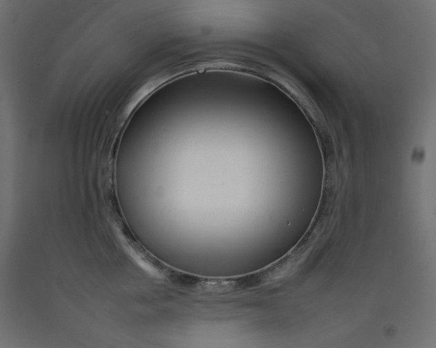 X0000092260858200710121338