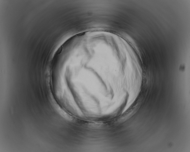 X0000092260859200710121338