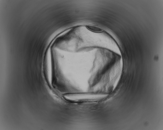 X0000092260861200710121338