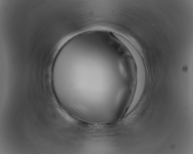 X0000092260862200710121338