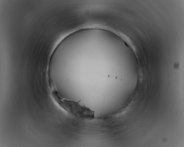 X0000092260863200710121338