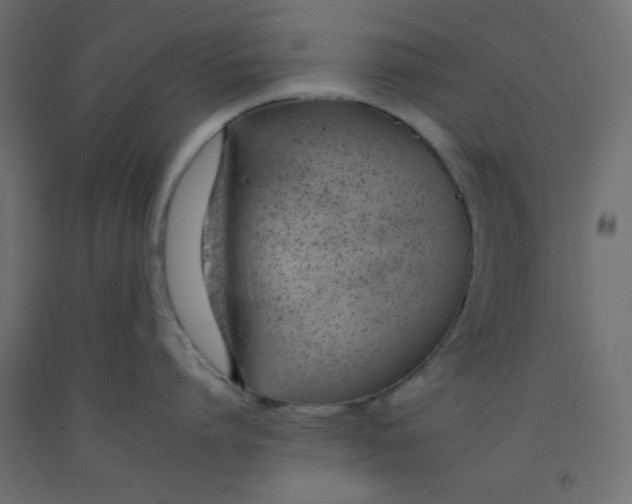 X0000092260864200710121338