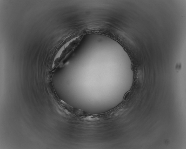 X0000092260868200710121337