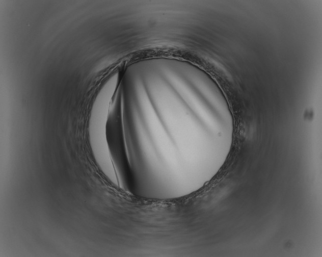 X0000092260869200710121337