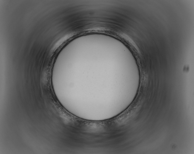 X0000092260874200710121337