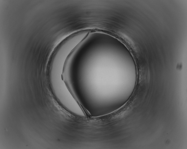 X0000092260876200710121337