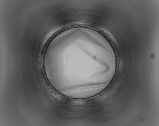 X0000092260878200710121337