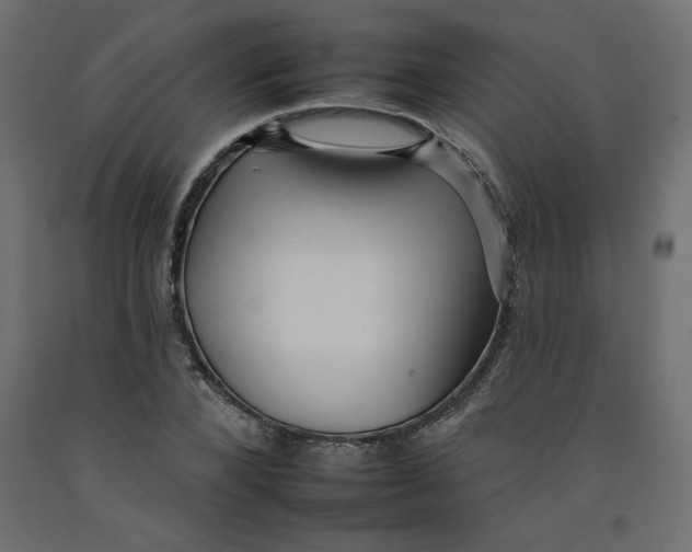 X0000092260880200710121337