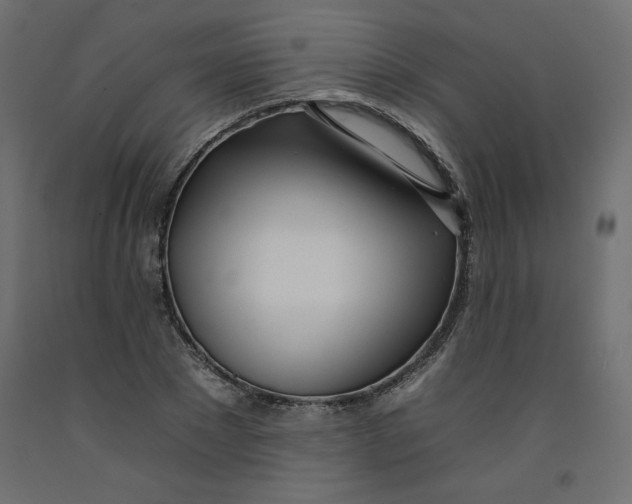 X0000092260881200710121337